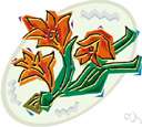 guinea gold vine
