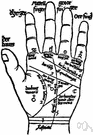 love line - a crease on the palm
