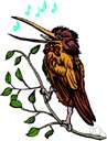 songbird - any bird having a musical call