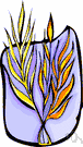 liliopsid genus - genus of flowering plants having a single cotyledon (embryonic leaf) in the seed