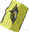 tree-living - inhabiting or frequenting trees