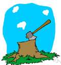 shingle tree