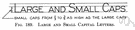 small capital - a character having the form of an upper-case letter but the same height as lower-case letters