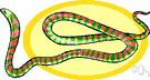 krait - brightly colored venomous but nonaggressive snake of southeastern Asia and Malay peninsula