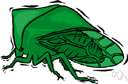 treehopper