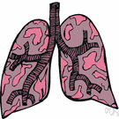 respiratory organ - any organ involved in the process of respiration