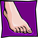 chiropody - the branch of medicine concerned with the feet