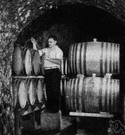 California wine - any of various wines produced in California