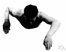 front crawl - a swimming stroke