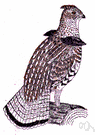 ruffed grouse - valued as a game bird in eastern United States and Canada