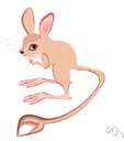 jerboa - mouselike jumping rodent