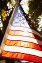 American flag - the national flag of the United States of America