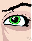 eyebrow - the arch of hair above each eye