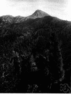 Nevado de Colima - an active volcano in southwestern Mexico