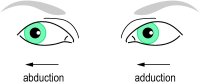 Fig. A6 Abduction of the right eye. Adduction of the left eye