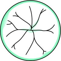 Fig. L18 Diagram of the anterior aspect of adult lens sutures showing a nine-point star