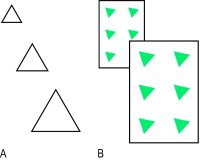 Fig. P6 Examples of monocular cues to depth perception; A, relative size; B, interposition and relative size