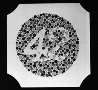 Fig. P13 One of the Ishihara pseudoisochromatic plates