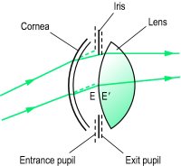 Fig. P23 The entrance and exit pupils of the eye. E and E′ are the centres of the entrance and exit pupils, respectively (diagram not to scale)