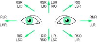 Fig. T8 Diagnostic positions of gaze indicating the muscles which have maximum power to move the eyes in the direction of the arrows (RIO, LIO, right and left inferior oblique; RIR, LIR, right and left inferior rectus; RLR, LLR, right and left lateral rectus; RMR, LMR, right and left medial rectus; RSO, LSO, right and left superior oblique; RSR, LSR, right and left superior rectus)
