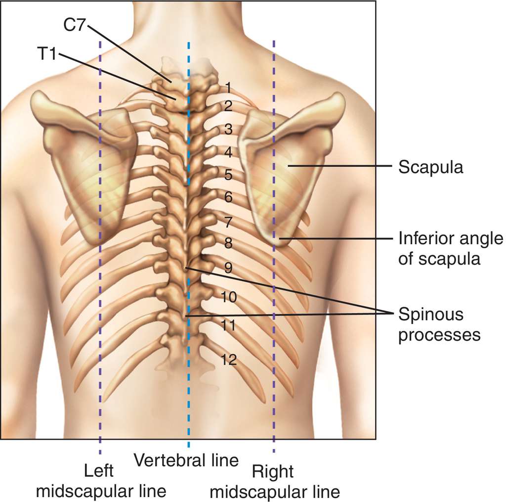 midscapular-line