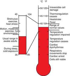 Normal Human Body Temperature Chart