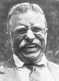 Theodore &#x0022;Teddy&#x0022; Roosevelt. LIBRARY OF CONGRESS