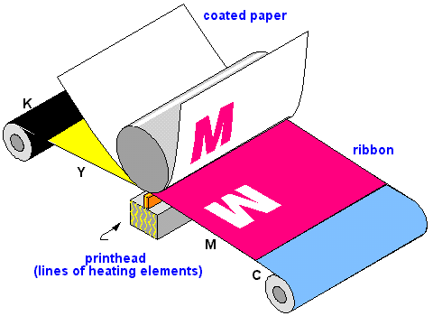 thermal dye sublimation