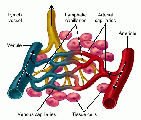 Afya nzuri: MEDICAL FACTS