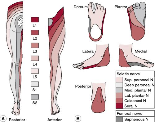 What to do about Nerve Pain and Twitching in Foot? - AR15.COM