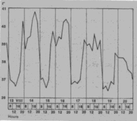 what cause quartan malaria