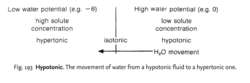 Hypotonic