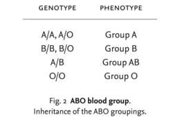 Abo Blood Group Definition Of Abo Blood Group By Medical Dictionary