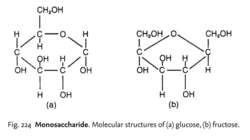 Monosaccharide