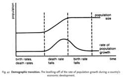 Demographic transition
