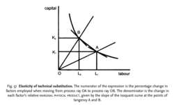 Elasticity of technical substitution