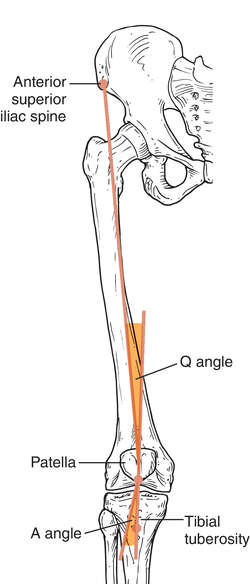 skammel spredning Halvtreds Mandibular angle | definition of mandibular angle by Medical dictionary