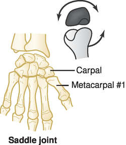 articulatio plana movement artroza articulației cotului cu 2 grade