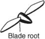 blade root