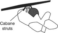 parasol wing
