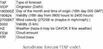 terminal forecast (TAF)
