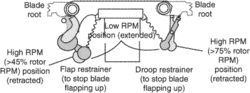 flap restrainers