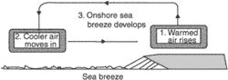 land and sea breeze