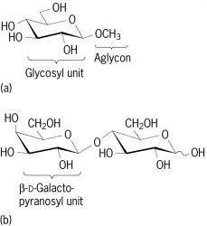 Structural formulas of two glycosides