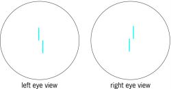 Vernier and stereoscopic discriminations of space