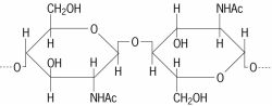 β- N -acetyl- D -glucosamine unit of chitin