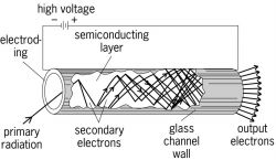 Cutaway view of a straight, single-channel electron multiplier, showing the cascade of secondary electrons resulting from the initial, primary radiation event, which produces an output charge pulse