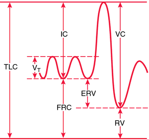 FVC | definition of FVC by Medical dictionary