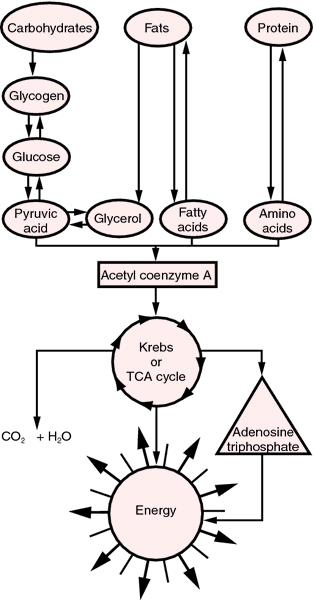 cycle by