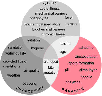 parasite thesaurus